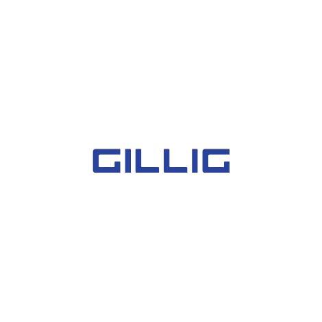 GILLIG, LLC Brienne Lorey